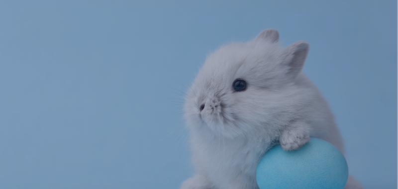 How family-friendly brands can maximise Easter marketing campaigns in 2024