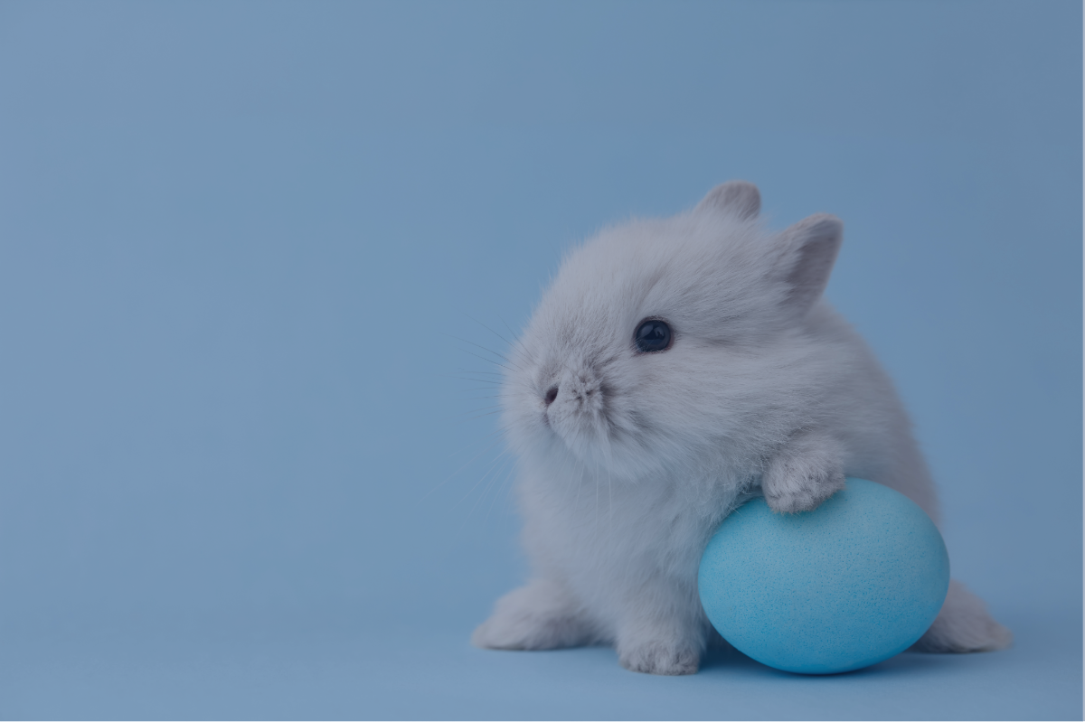 How family-friendly brands can maximise Easter marketing campaigns in 2024
